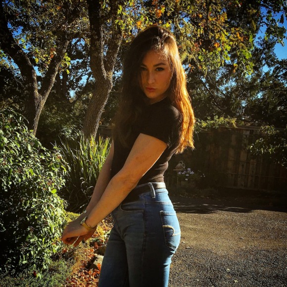 purdyfox